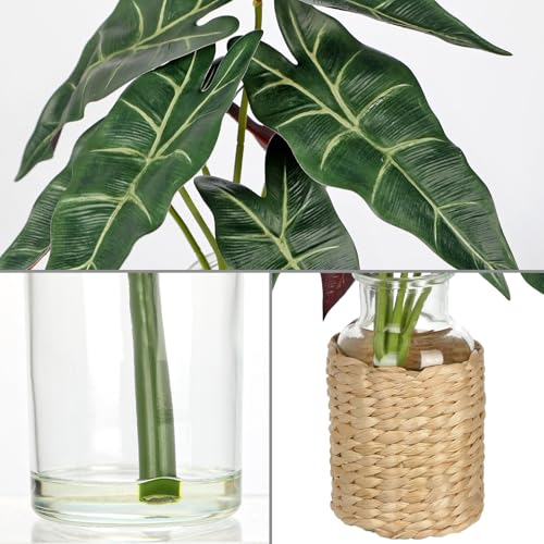 2 Psc Green Alocasia Leaves Real Touch Faux Greenery Stems in Vase with Faux Water, 13.8" Small Fake Plants Artificial Greenery Silk Plants for Home Decor Indoor, Kitchen Bedroom Bathroom Living Room Coffee Table Centerpiece
