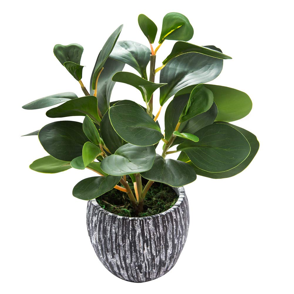 Plants Decor Greenery Fake Succulents Indoor Potted Fake Plant with Rustic Black Clay Planter for Home Decor Farmhouse Room Bathroom Bedroom Kitchen Office Table Decor