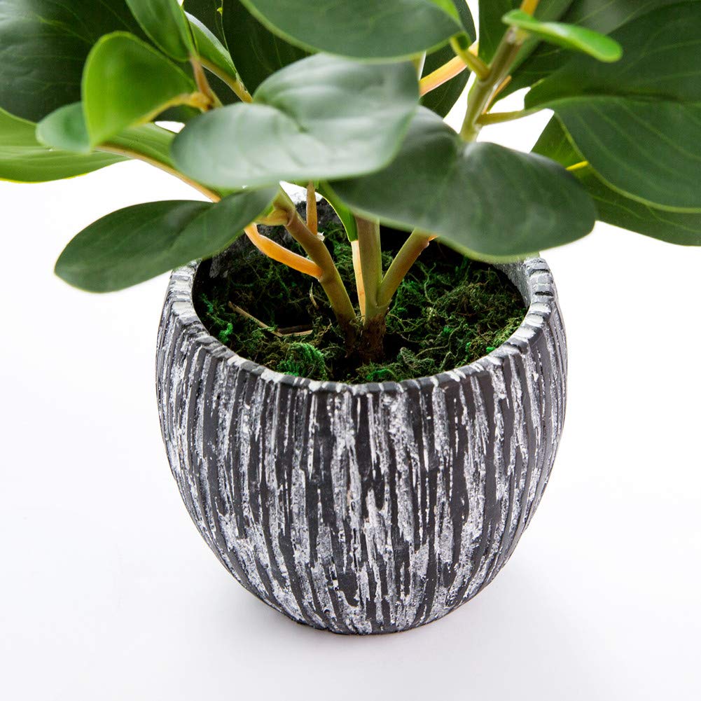Plants Decor Greenery Fake Succulents Indoor Potted Fake Plant with Rustic Black Clay Planter for Home Decor Farmhouse Room Bathroom Bedroom Kitchen Office Table Decor